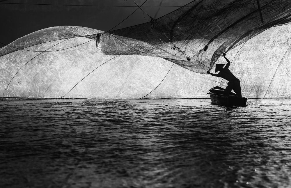 Photograph by Tuấn Nguyễn Tấn