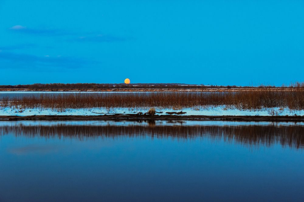 Photograph by Ольга Ситникова