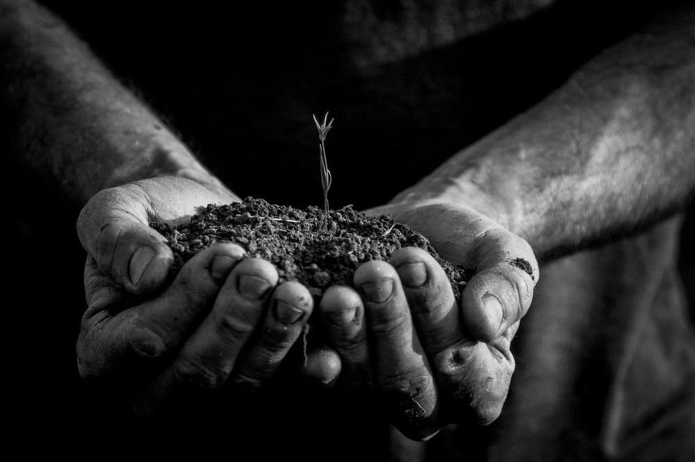 Фотография автора Зоя Малхова