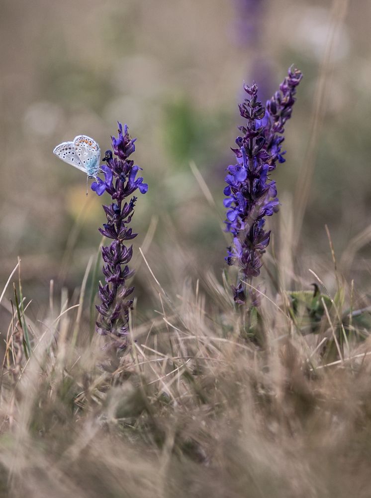 Photograph by Яна Соболева