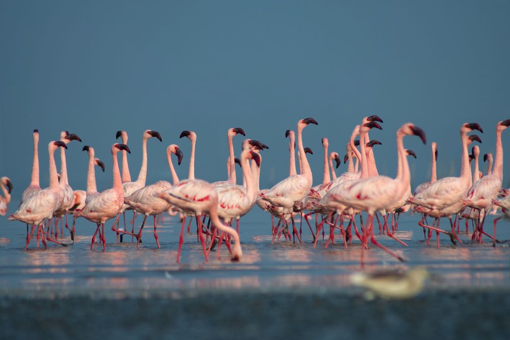 Photograph by Ashish Patil