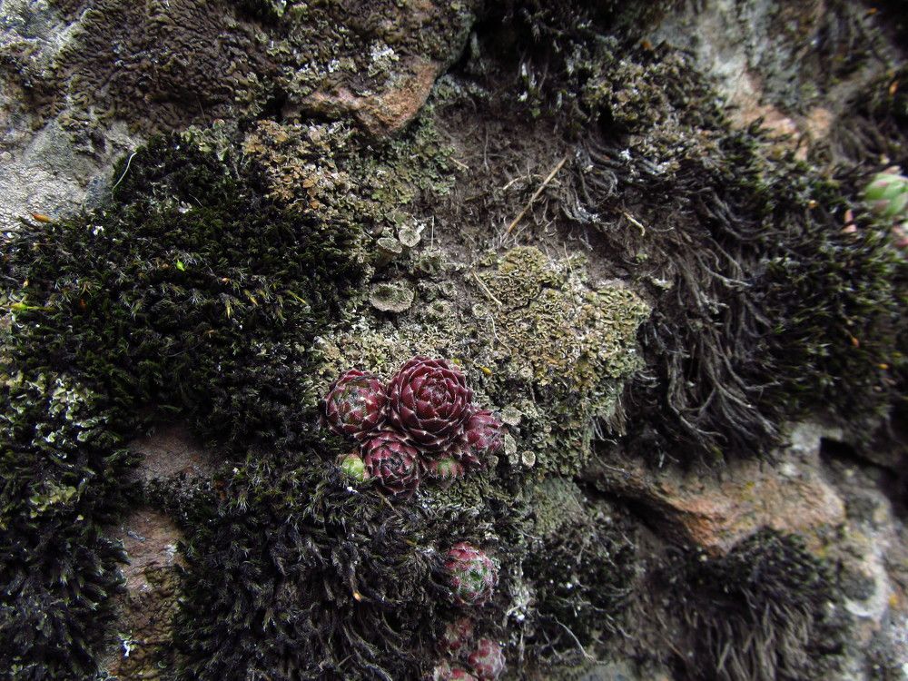 Photograph by Альбина