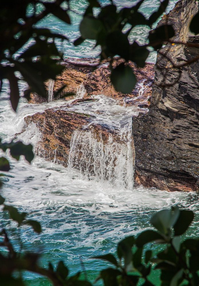 Photograph by Jared Clement