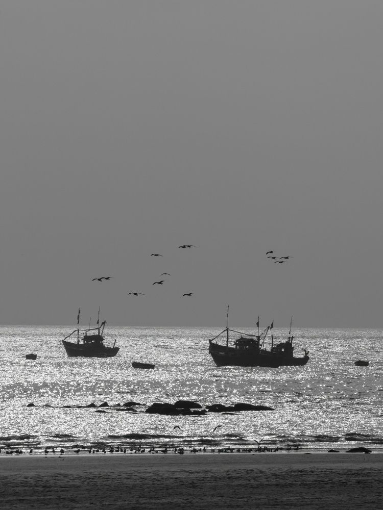 Fishing below and stealing above