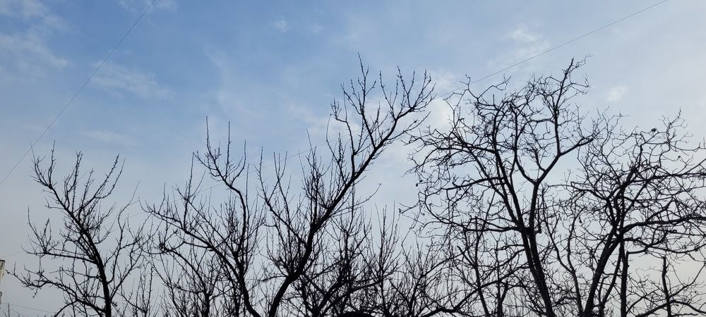 Photograph by Иван Мягкий