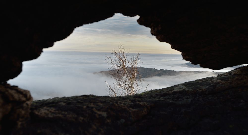 Фотография автора Tahir