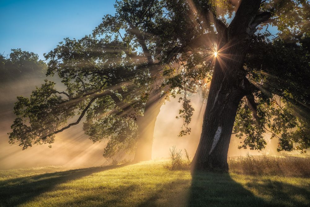 Photograph by Piotr Golebniak