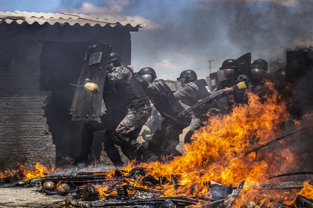 Photograph by Marden Acampora