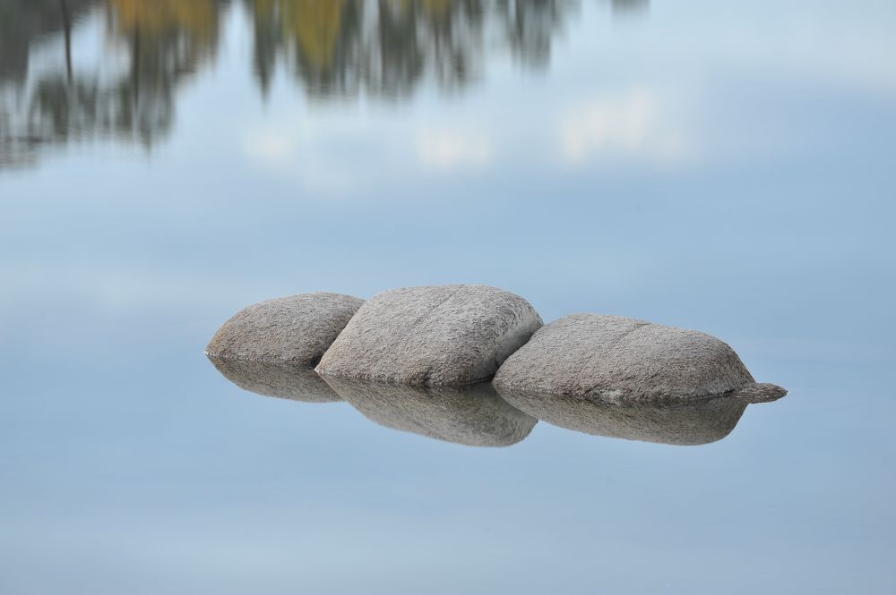 Фотография автора Tahir