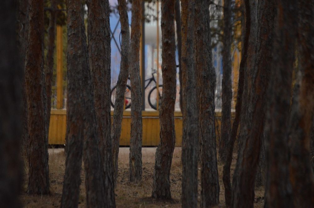 Photograph by Наталья Мордовская