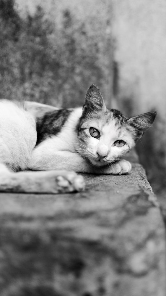 Photograph by sandipan sen