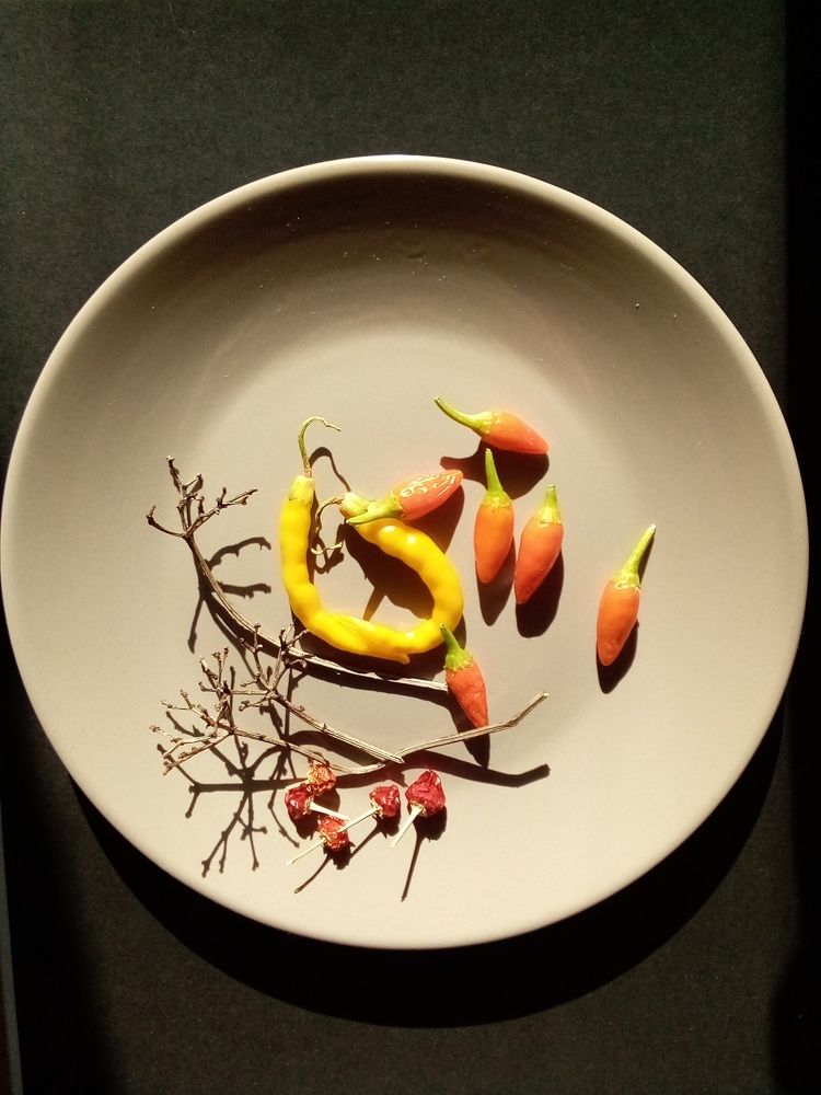 Photograph by Людмила