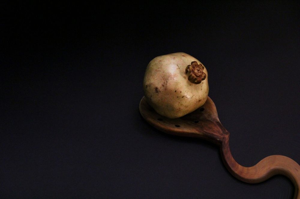 Photograph by anahita peymani