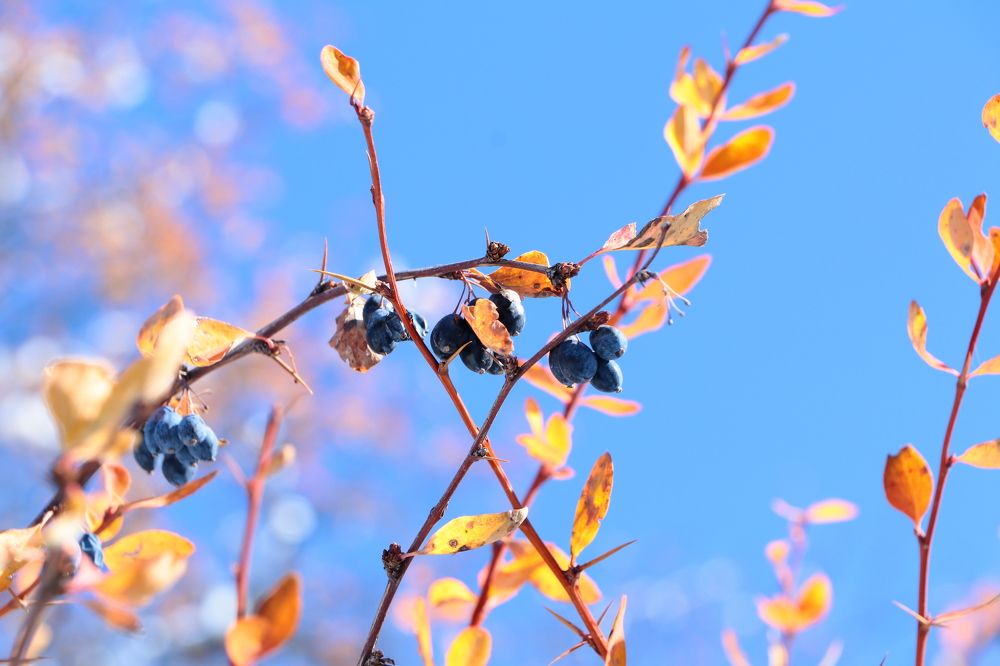 Photograph by Аида Тастенова