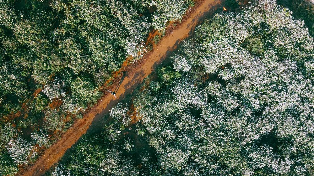 Photograph by Viet Cuong Luong