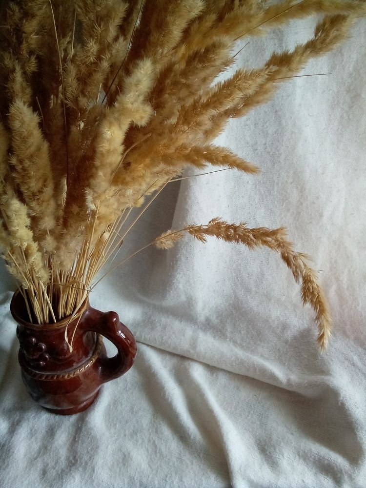 Photograph by Людмила