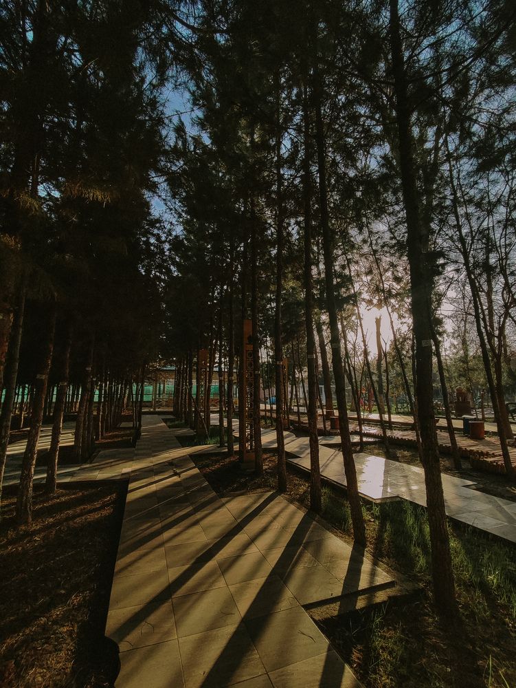 Photograph by Goldvarg Anastasiya