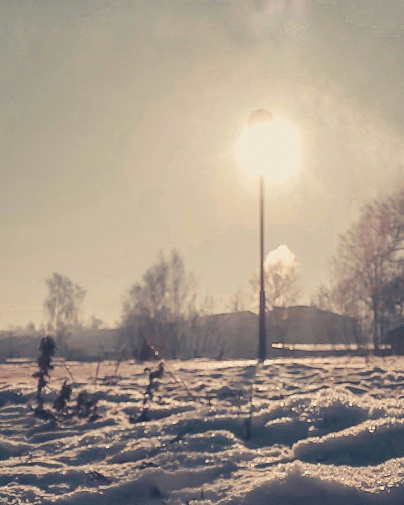 Photograph by Светлана Моисеева