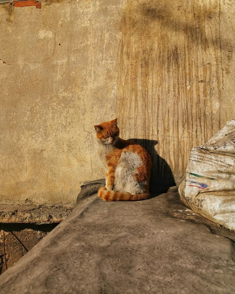 Photograph by Галина Матвеева