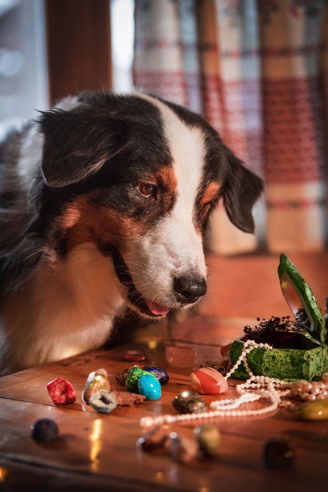 Photograph by Марина Шишкина