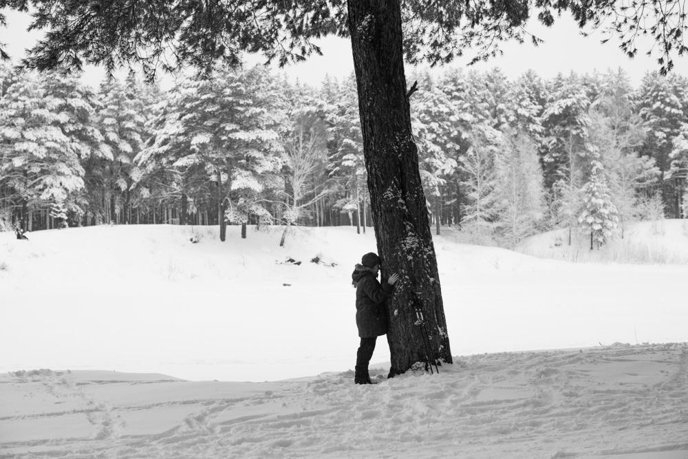 Photograph by Василий Клейменов