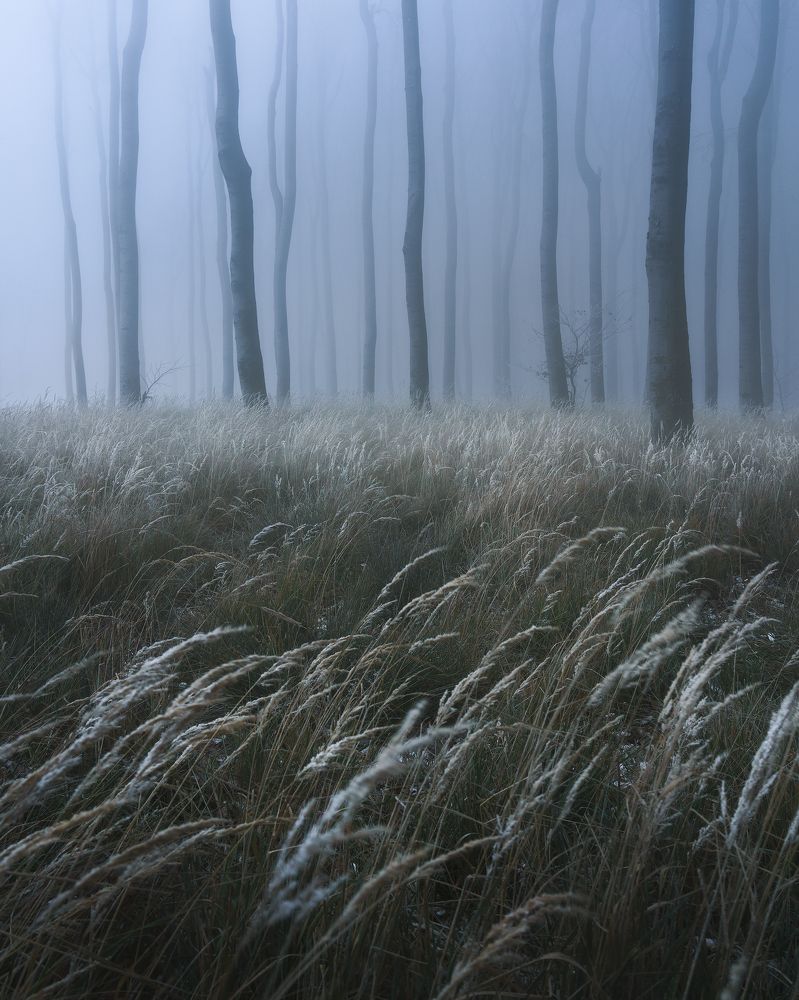 Фотография автора Peter Dužek