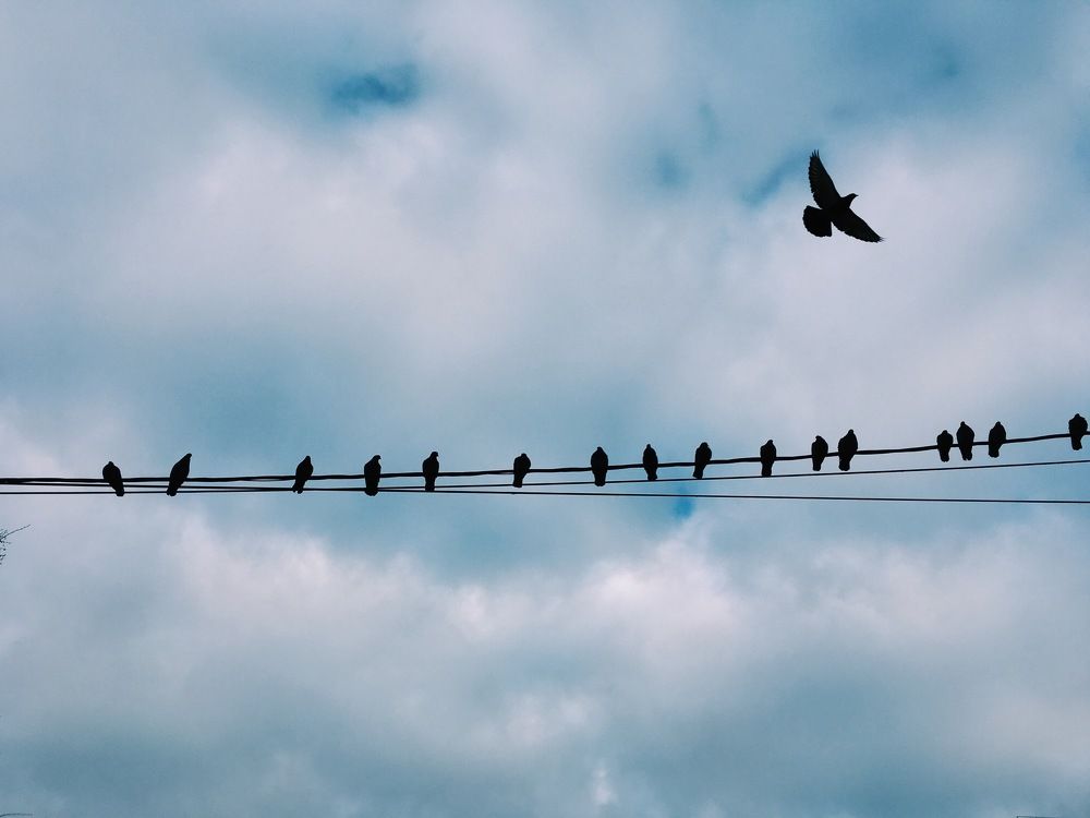 Photograph by Olga Vinogradova