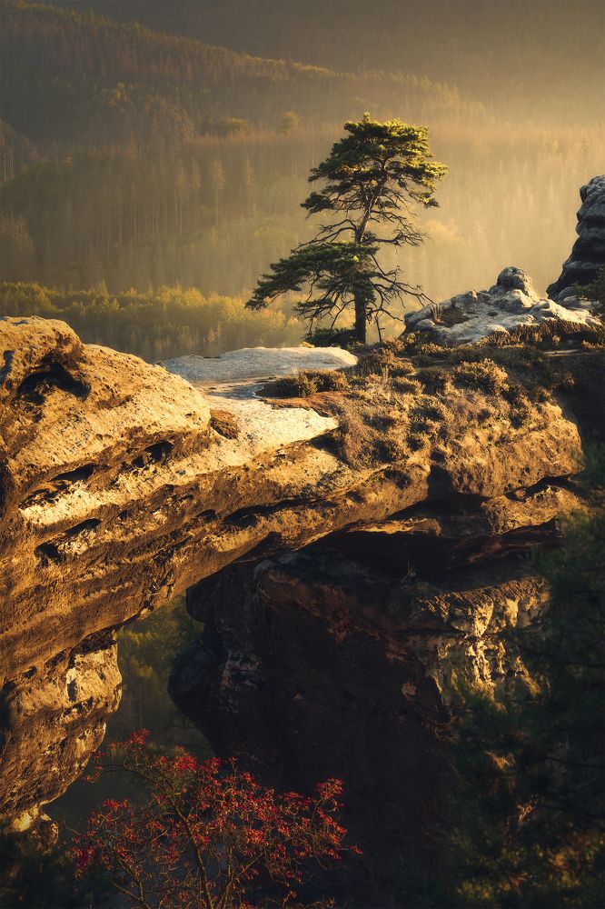 Фотография автора Peter Dužek