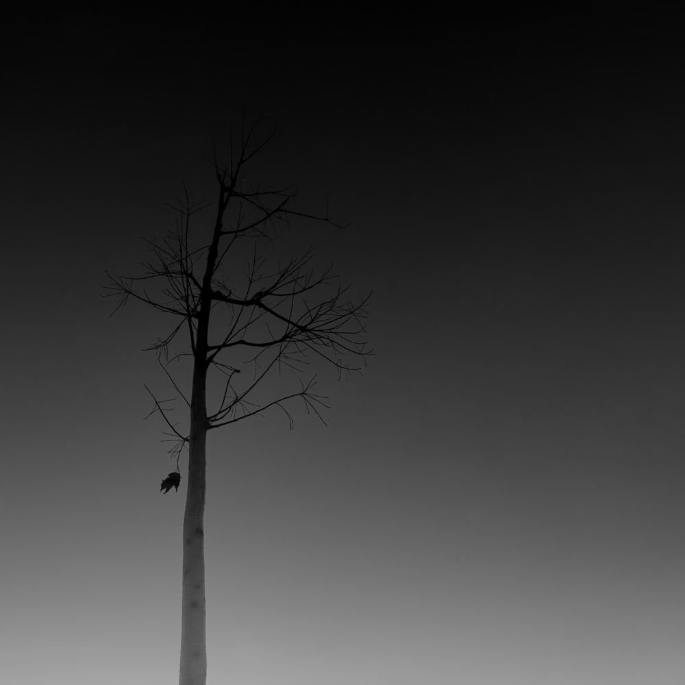 Photograph by Rustu Erata