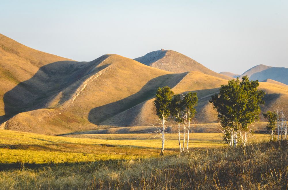 Photograph by Наталья