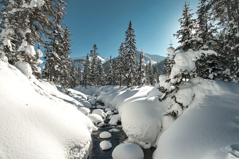 Photograph by Анастасия Сахаревич