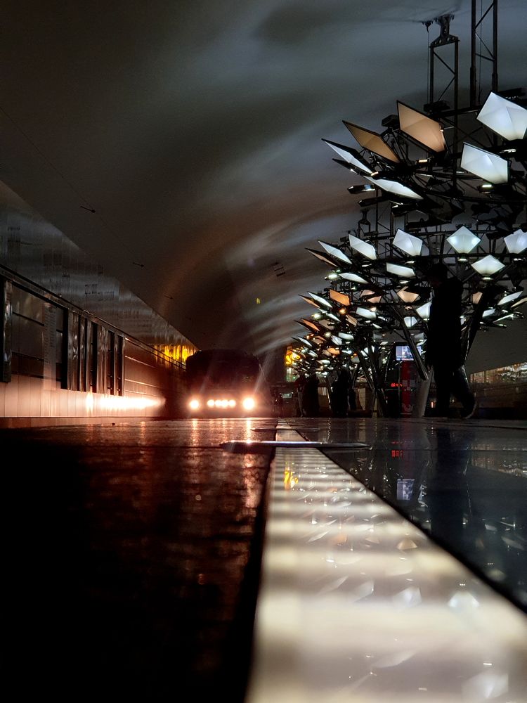 Photograph by Полина Крапивинцева