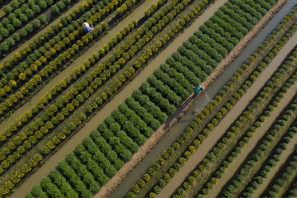 Photograph by HANH TRUONG