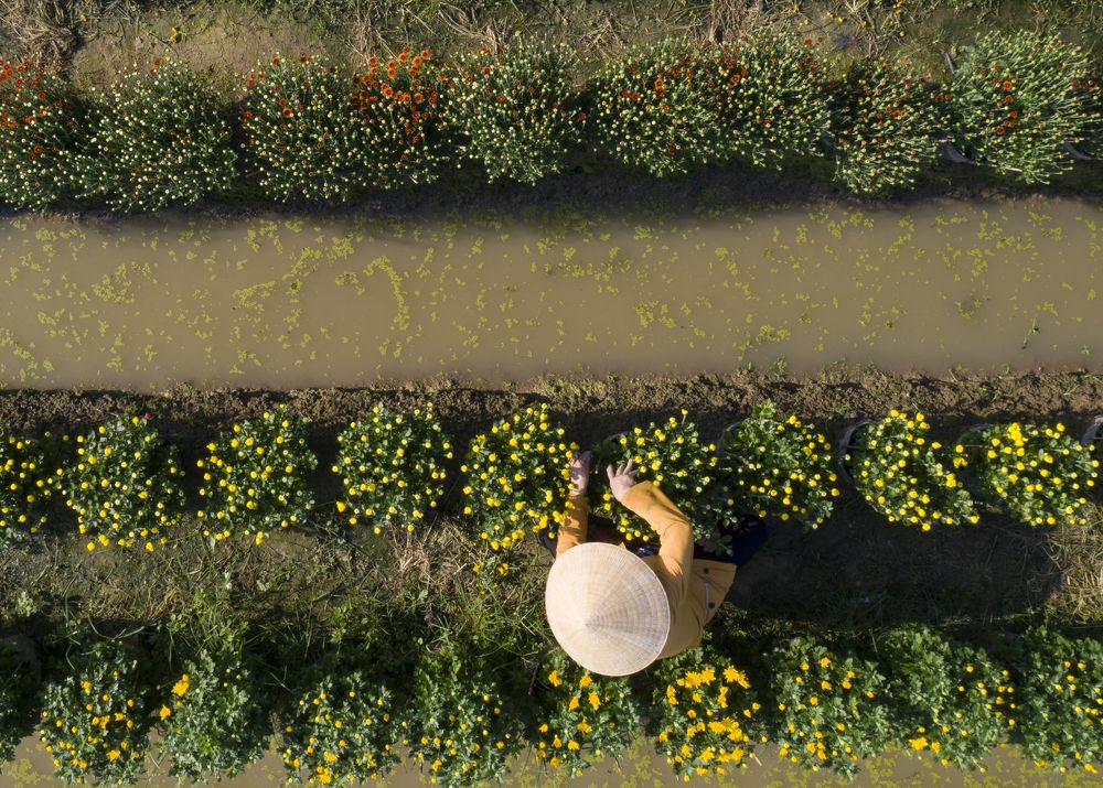 Photograph by HANH TRUONG