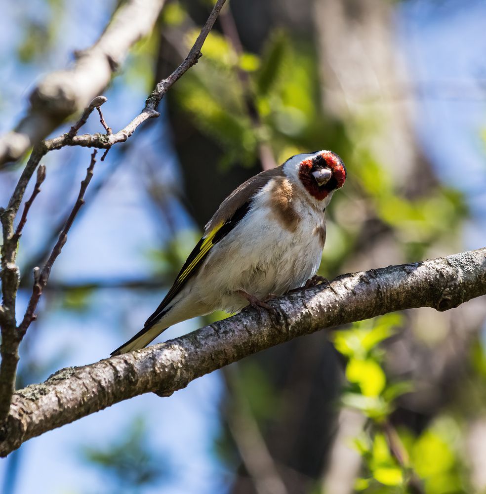 Photograph by Виктор Шапошников