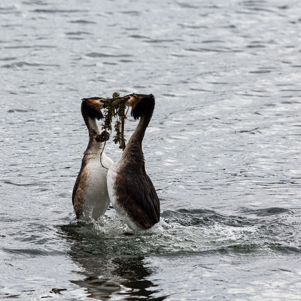Photograph by Виктор Шапошников