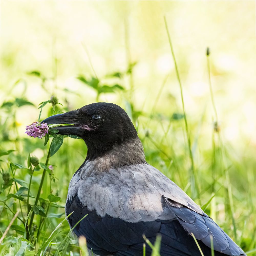 Photograph by Виктор Шапошников