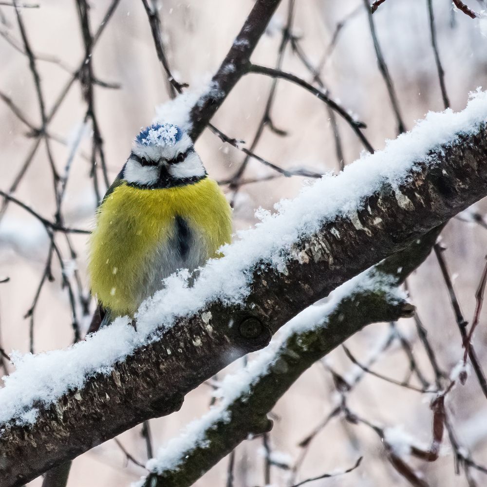 Photograph by Виктор Шапошников