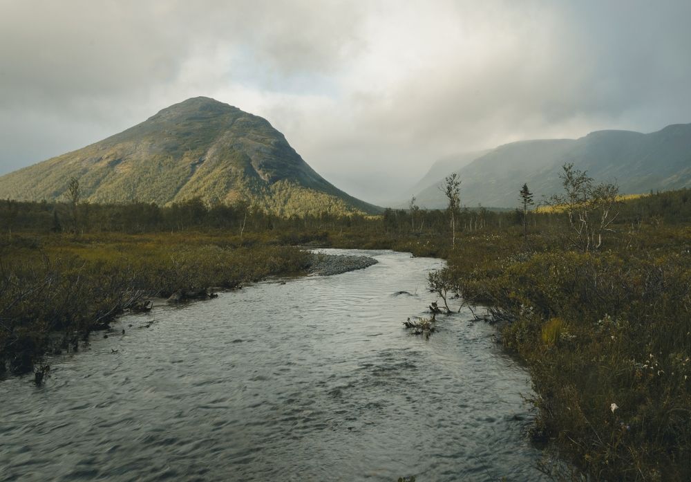 Photograph by Наталья