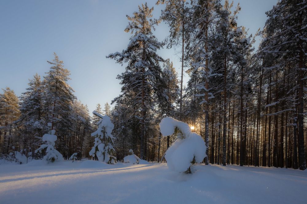 Photograph by Елена Хорохорина