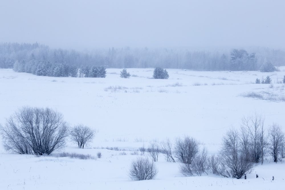 Photograph by Елена Хорохорина