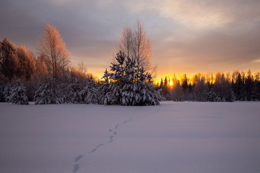 Photograph by Елена Хорохорина