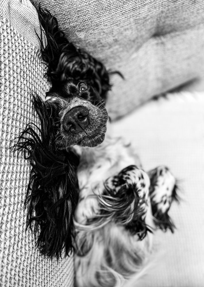 Photograph by Василий Клейменов