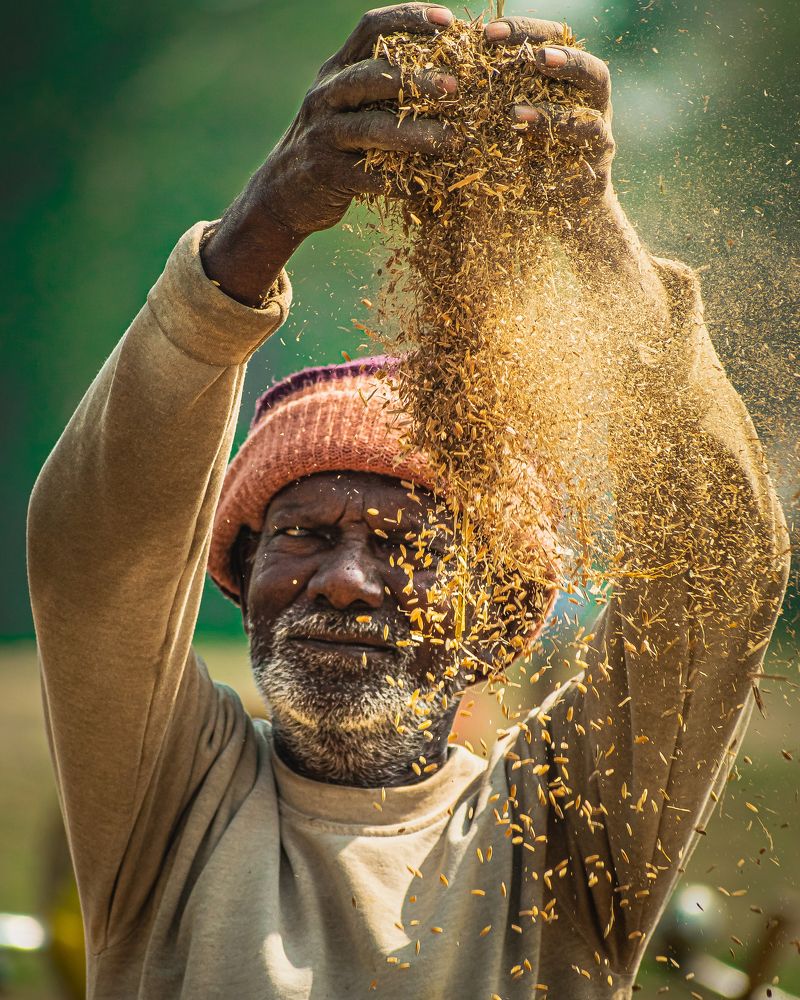 Photograph by Anirban Pan