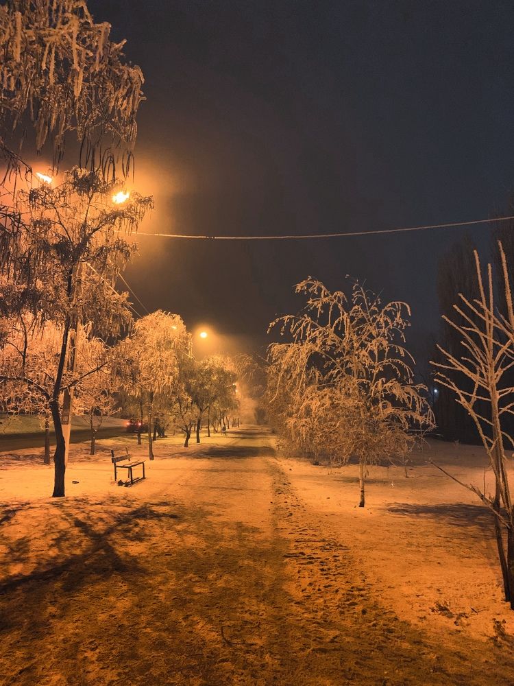 Photograph by Полина Галянина