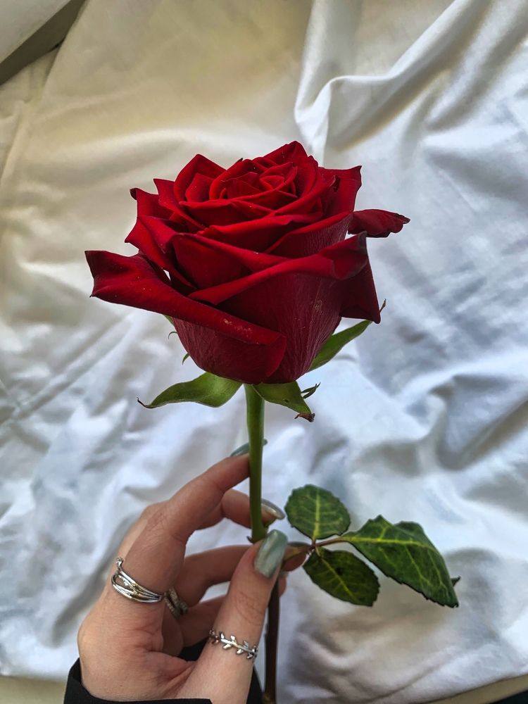 Photograph by Полина Галянина