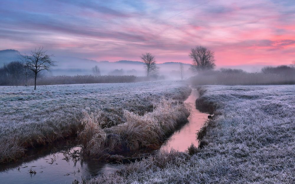 Photograph by Elena Wymann