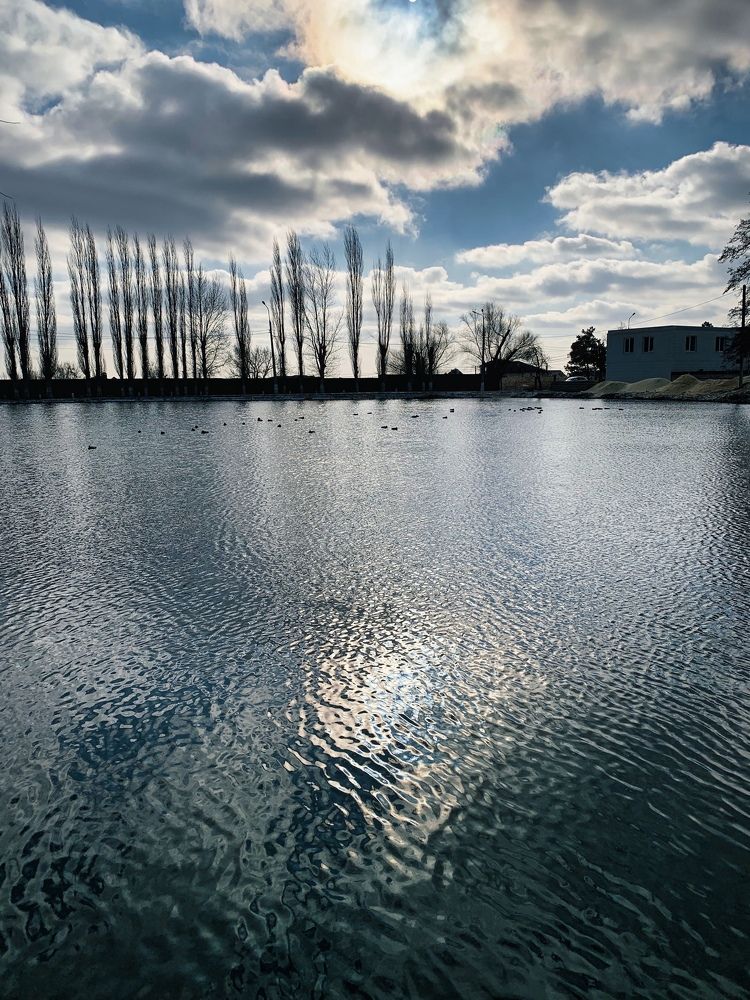 Photograph by Полина Галянина