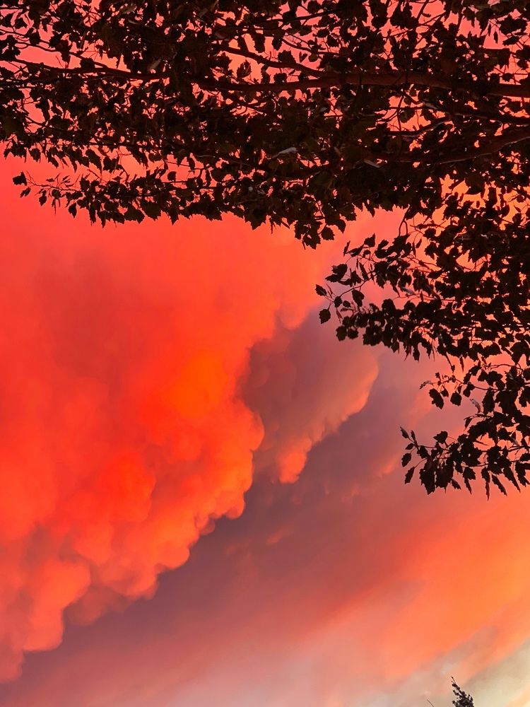 Photograph by Полина Галянина