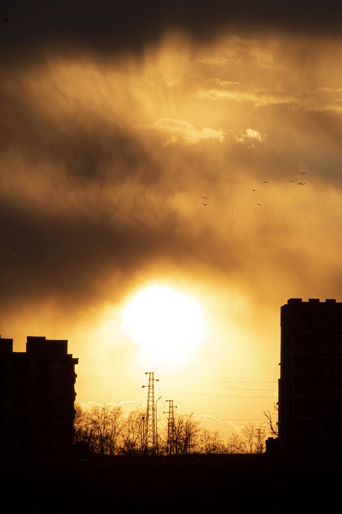 Photograph by Adi. Traveller